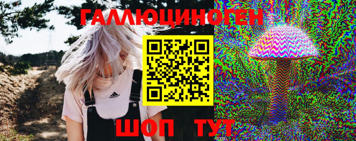 Галлюциногенные грибы Psilocybe Еманжелинск